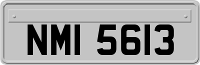 NMI5613