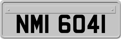NMI6041