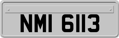 NMI6113