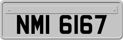 NMI6167