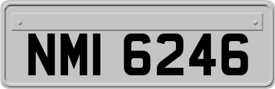 NMI6246