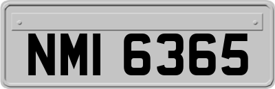 NMI6365
