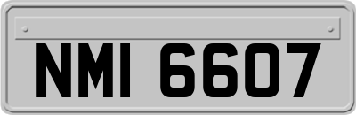 NMI6607