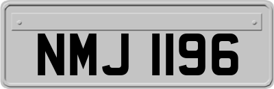 NMJ1196