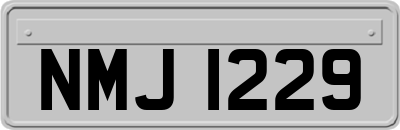 NMJ1229