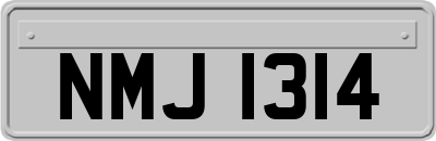 NMJ1314
