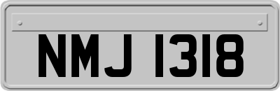 NMJ1318