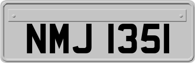 NMJ1351