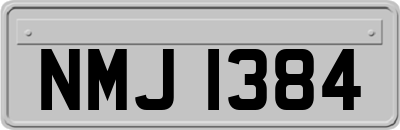 NMJ1384