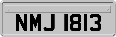 NMJ1813