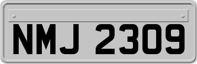 NMJ2309