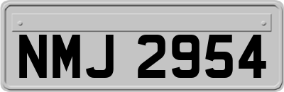 NMJ2954