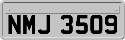 NMJ3509