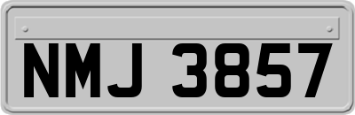 NMJ3857