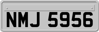 NMJ5956