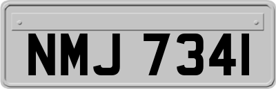NMJ7341
