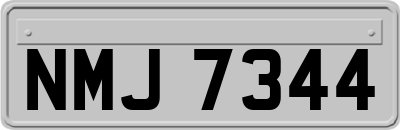 NMJ7344