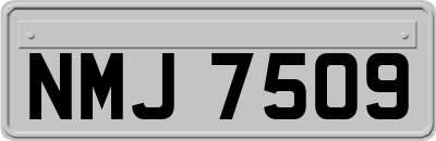 NMJ7509