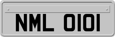 NML0101