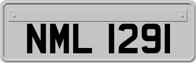 NML1291
