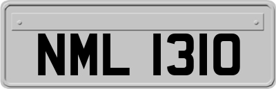 NML1310