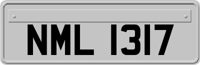 NML1317