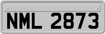 NML2873
