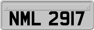 NML2917
