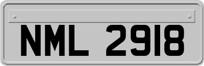 NML2918
