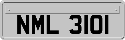 NML3101