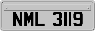 NML3119