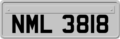 NML3818