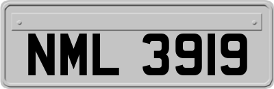 NML3919