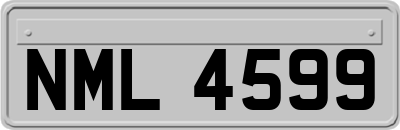NML4599