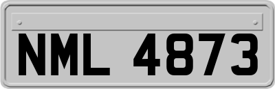 NML4873