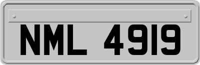 NML4919