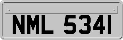 NML5341