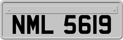 NML5619