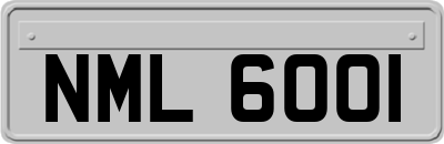 NML6001