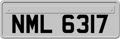 NML6317