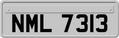 NML7313