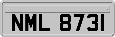 NML8731