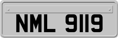 NML9119