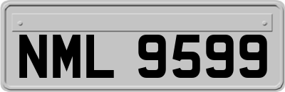 NML9599