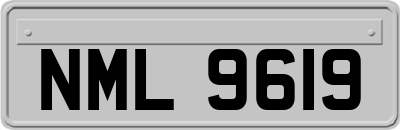 NML9619