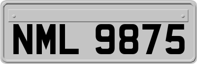 NML9875