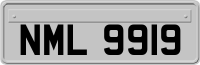 NML9919