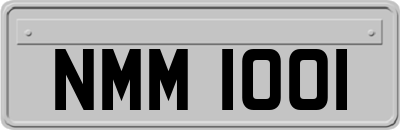 NMM1001