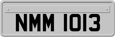 NMM1013