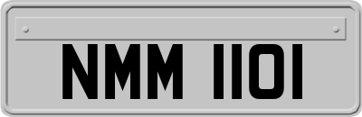 NMM1101